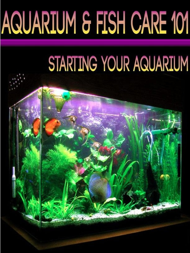 Aquarium Fish Care 101