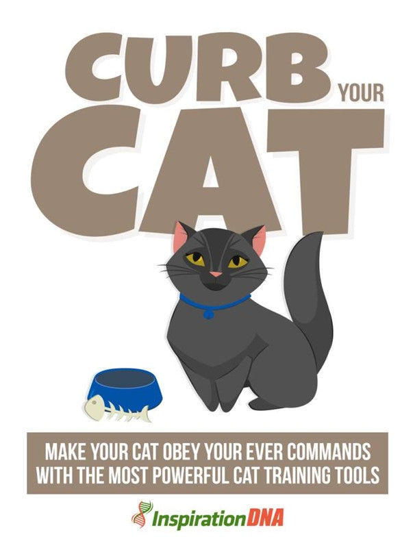 Curb Your Cat