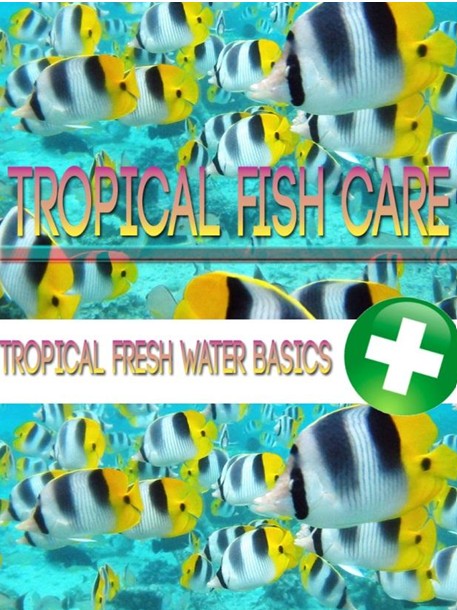 Tropical Fish Care